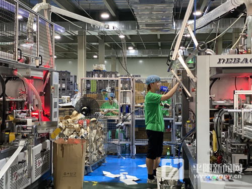 訂單培養(yǎng) 產教融合 平陽 教學工廠 助力經濟發(fā)展